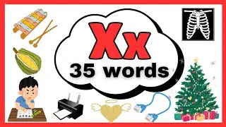 Letter Xx Words for kids/Words starting with X / letter X words/ X for Words/Alphabet X
