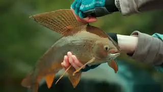 Guided Fishing & Wilderness Trips in Interior Alaska