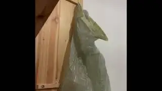 Разборка шкафа