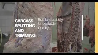 Carcass Splitting & Trimming Equipment for Modern Slaughterhouses | Precision & Hygiene