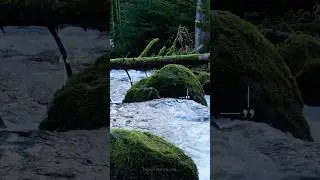 İnsanın tek&acirc;m&uuml;l&uuml;nde tevhit saklıdır.