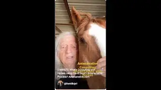 🎠 WHAT'S 1-MINUTE HORSESENSE? #shortvideo #business