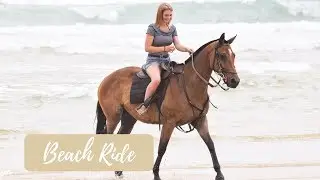 BEACH HORSE RIDE ON POLOCROSSE PONIES // Swimming with horses in the ocean