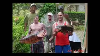 The Best of Surfer Paradise Panama
