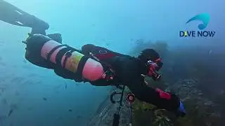 Scuba diving Serpent Rock and Northern Arch at the Poor Knights Marine reserve
