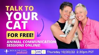 FREE Live Animal Communication Sessions! | Back In The Closet | Two Crazy Cat Ladies