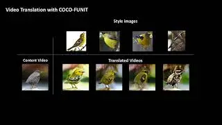 COCO-FUNIT full body animal translation demo