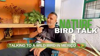 Magical Moment: Talking to a Wild Bird in Mexico 🐦✨