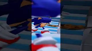 Daily Routine For A Sonic Fan