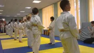 sansuikan