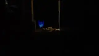 Science East Ghost