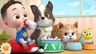 My pet song | my kitty and puppy | Oly Cartoon TV animal songs | kids songs & nursery rhymes