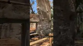 Stoney Baynard Ruins | Historical place in Hilton Head, South Carolina | USA | Travel | Free Things