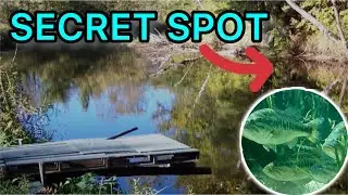 Searching for Fishing Hotspots: Exploring New Fishing Spots!