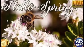 How to Celebrate the First Day of Spring with Freebies