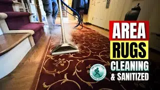 Premium Area Rugs Cleaning & Sanitized in Long Hill, NJ