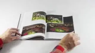 Look inside! Beyond Art Fundamentals