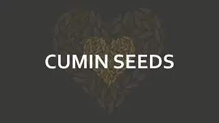 Cumin Crop Introduction | Cultivation | Harvesting | Uses | Health Benifits | LahiGlobal.