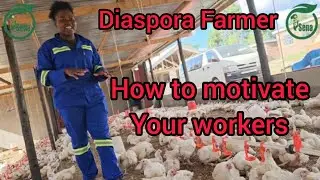 Diaspora Farming back in Zimbabwe. Good brooding systems