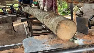 Benefits of 5x7 Coconut Wood after being Processed with a Sawmill Machine