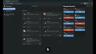 Chrome Extension Manager