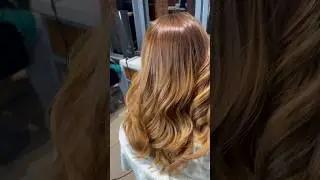 Golden balayage #shahrukhairhouse #hairhouse #shortsfeed #hairtutorial