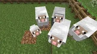 SO. MANY. SHEEP. FOLLOWING...ME??? - Gaming Video -Minecraft