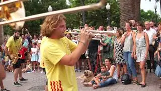 Festa Groga / Celebració del primer premi del concurs de xarangues nacional