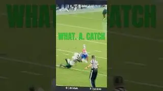 #13 FLORIDA UPSET BY USF 🚨 #floridagators #southfloridafootball #cfb #collegefootball