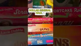 Dollar General Haul 🛒 BIG FAMILY! #dollargeneral #shoppinghaul #viralyoutubeshorts