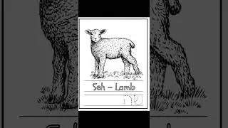 Hebrew Printable! #hebrew #homeschool #homeschooling #jewish #judaism #messianic #torahobservant