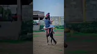 #meghraj💫🦅