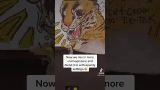 defensive tiger