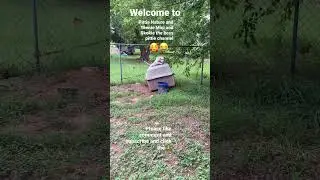 😂😂😂 these dogs hilarious. Wow is Nature doing and Teenie Mini looking at him like he&rsquo;s crazy 👀😂