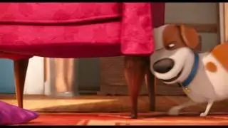 The secret of life of pets at Silverspot Cinema