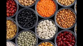 GreenRusnk &ndash; Russian Agricultural Exports to BRICS | Premium Sunflower Seeds, Oil & Pulses Trade,