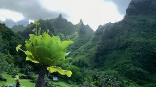 Hawaii Education Series: Ahupua'a