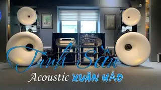 Album T&Igrave;NH SẦU ACOUSTIC - XU&Acirc;N HẢO | NHỮNG GIAI ĐIỆU S&Acirc;U LẮNG 