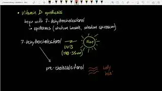 Bio 265: Vitamin D Synthesis