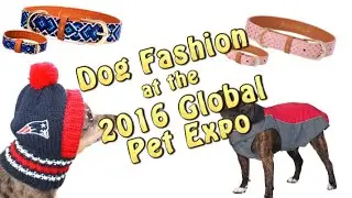Dog Fashion from Global Pet Expo 2016