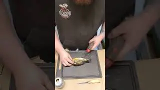 Bass Pro XPS Electric Fillet Knife Review
