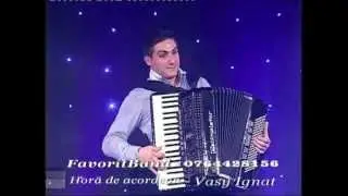Favorit Band - Hora de acordeon - Vasy Ignat - Lautarii NeptunTV