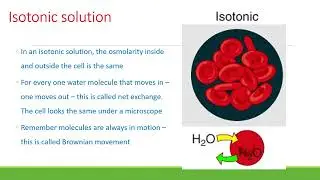 BIO 210 Chapter 3 PPT Recording