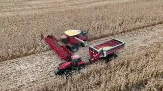 Alway good to see the corn coming off the field #caseih #SDfarming#TripleO #corn #cornharvest