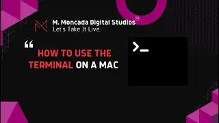 Master the Terminal: Essential Command Line Skills for Developers | M. Moncada Digital Studios