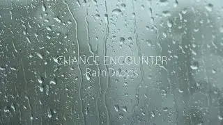 Chance Encounter - RainDrops (Eureka Springs, Ar)