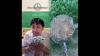 🤣👌👌👌2026 pov Must-Watch Crazy Clips Compilation #humor #fypシ #pov #fyp #foryou 😍😜