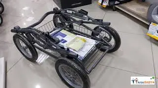 Коляска Inglesina Sofia на шасси Ergo Bike