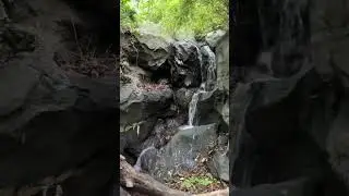 The Biggest zoo in NYC ||part-1 #bronxzoo #nyc #exploring #usa