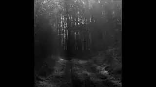 Life in peril - From the bottom (Feat. Petar Tucman of Sentence)(w/LYRICS)
